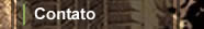 Contato